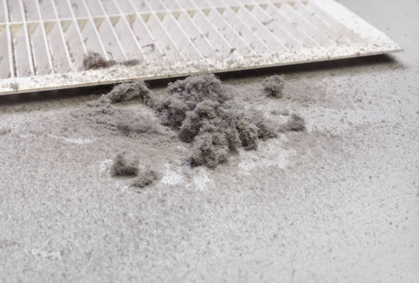Best Emergency Air Duct Cleaning  in Lattingtown, NY