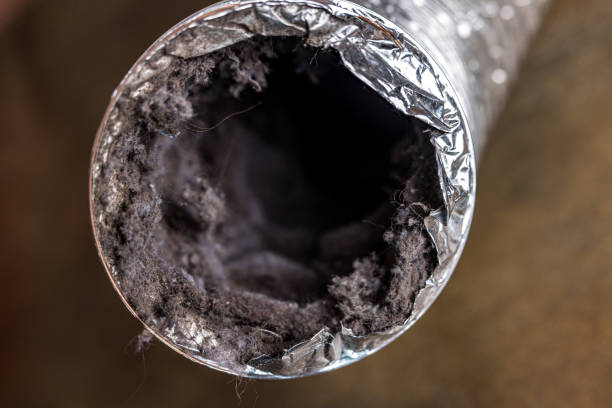 Best HVAC Maintenance and Cleaning  in Lattingtown, NY