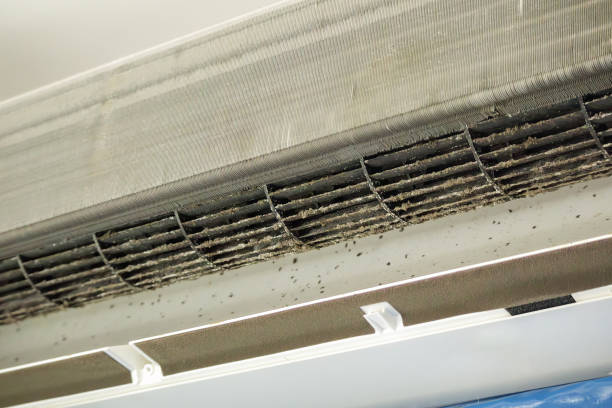 Best Dryer Vent Cleaning Services  in Lattingtown, NY